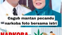 Cagub Jambi