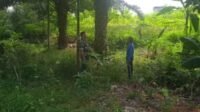 Kebakaran Hutan dan Lahan (Karhutla) merupakan bencana ekologis yang berdampak serius, baik terhadap kesehatan masyarakat, kelestarian lingkungan, maupun sektor ekonomi.