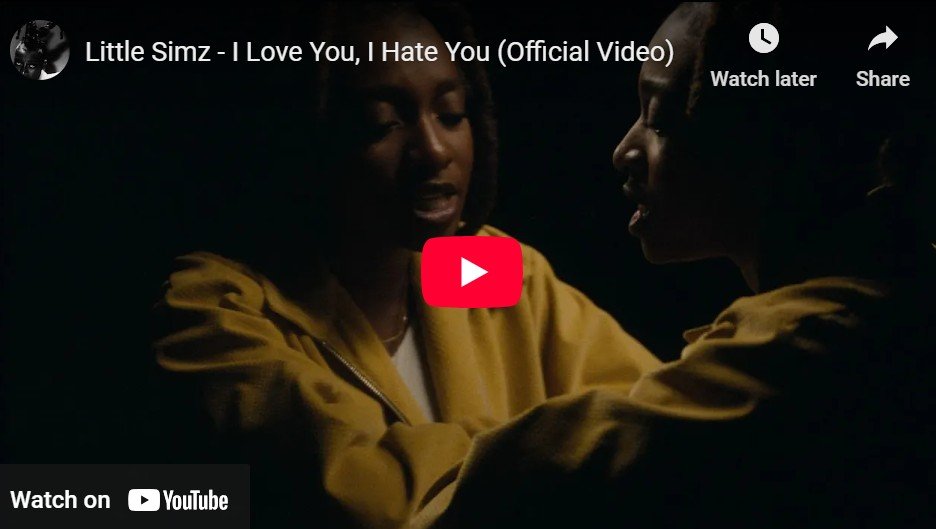 Lagu I Love You, I Hate You - Little Simz.