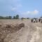 Stockpile PT SAS, Sikap Tegas Wali Kota Jambi Maulana Dinanti