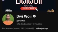 Dwi Woii Fanny God? Ini Ulasan Channel YouTube Gamer MLBB Paling Mekanik