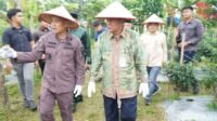 Hadiri Panen Jagung, Wagub Sani Dukung Program Perkuat Kedaulatan Pangan Daerah dan Nasional