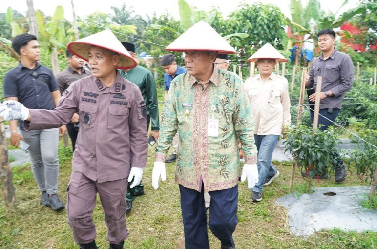 Hadiri Panen Jagung, Wagub Sani Dukung Program Perkuat Kedaulatan Pangan Daerah dan Nasional