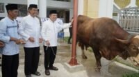 Gubernur Al Haris Serahkan Sapi Kurban Presiden Prabowo Seberat 930 Kilogram di Jambi Gubernur Al Haris Serahkan Sapi Kurban Presiden Prabowo Seberat 930 Kilogram di Jambi